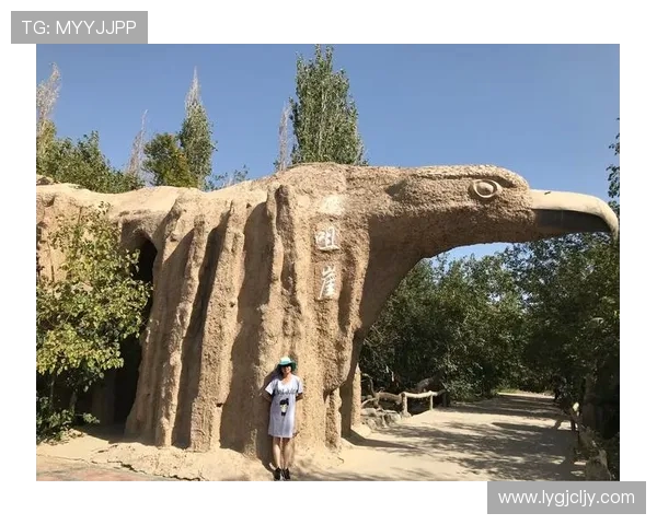 深圳街舞队在攀岩联赛中的蜕变与成长之路揭秘 深圳街舞队在攀岩联赛中的蜕变与成长之路揭秘