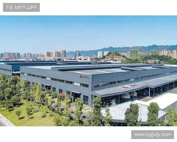 重庆乒乓球队运营模式创新探索助力体育发展新篇章