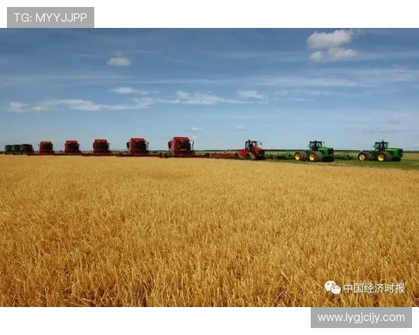 新疆广汇集团在多元化发展战略下推动区域经济转型与可持续发展新机遇 新疆广汇集团在多元化发展战略下推动区域经济转型与可持续发展新机遇